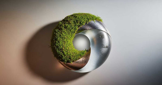 從泥炭地修復到再生鋁瓶